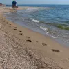 Rest on the Azov Sea