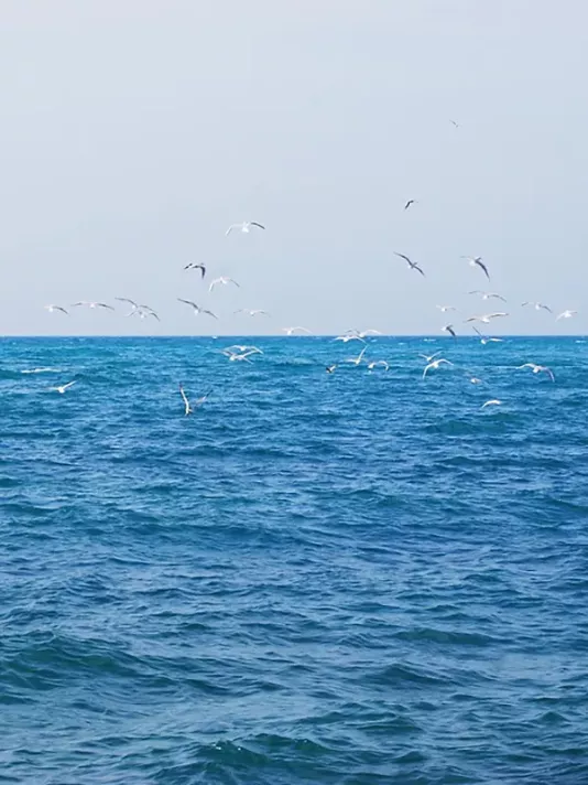 Статьи об Азовском море