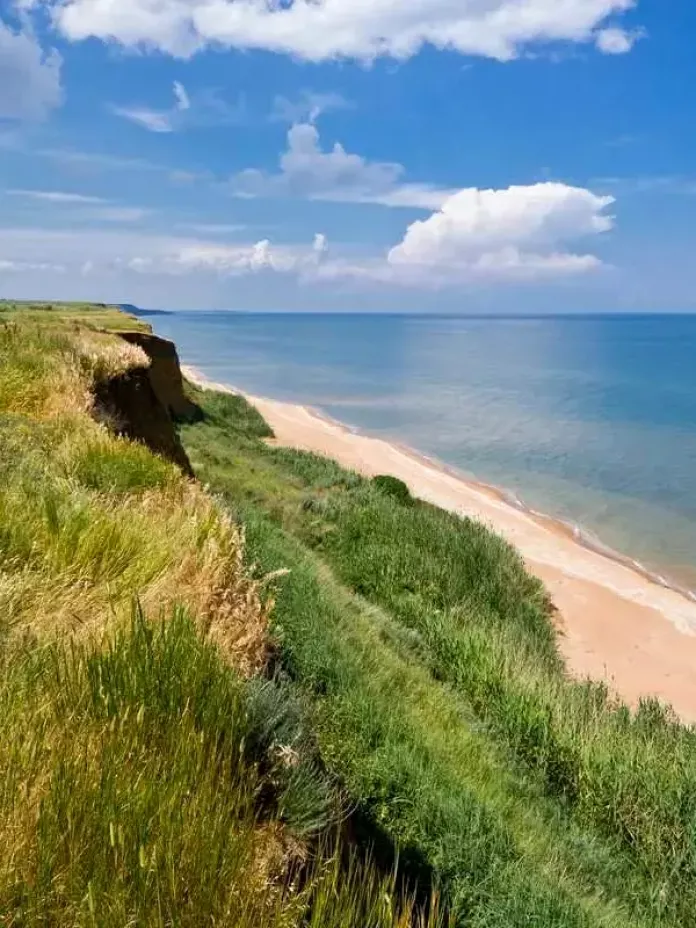 Природа та фауна Азовського моря